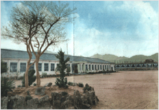 학교의 역사와 발전